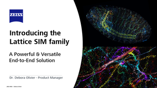 Vorschaubild von Introducing the Lattice SIM family