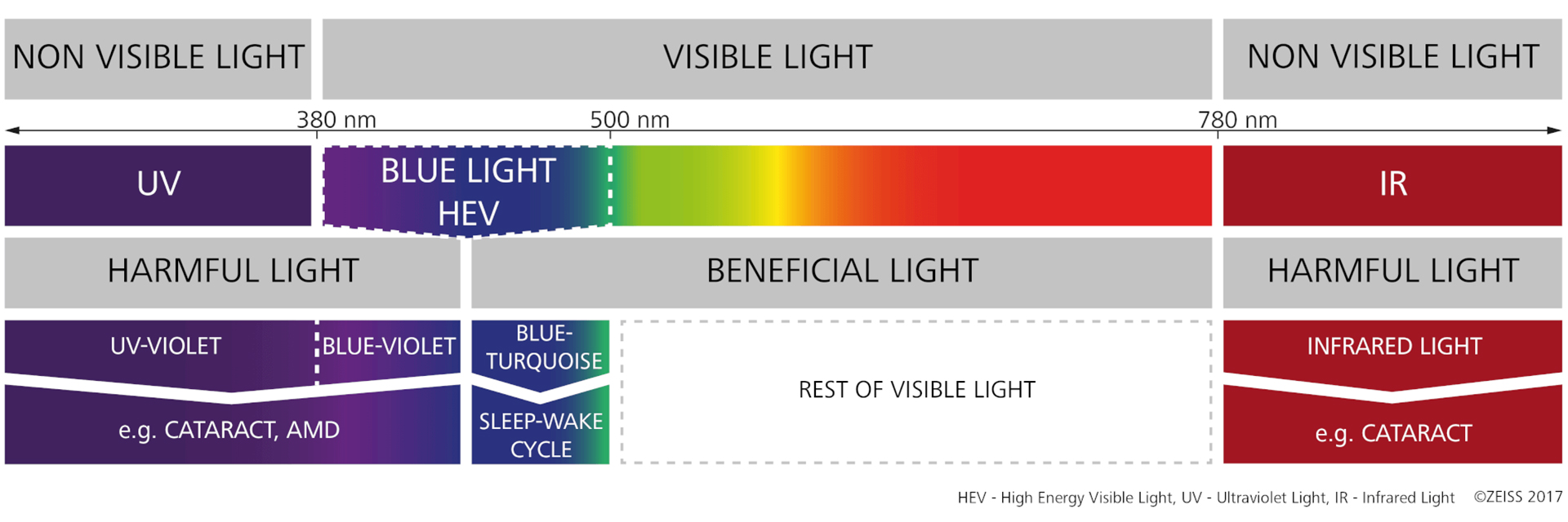 What exactly is UV light? Where does it come from?